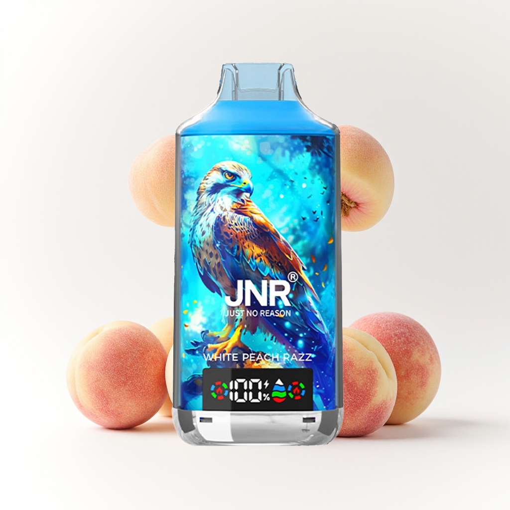 JNRファルコンX 18000パフ使い捨てベイプ - 画像 (21)
